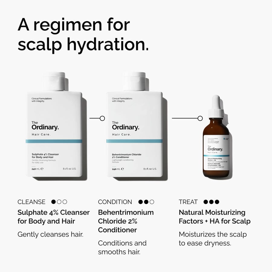 natural-moisturizing-factors-ha-for-scalp-j8 FY25-D41247-ORD-Web-PDP-NMF-HA-Scalp-1x1-EN-5.jpg